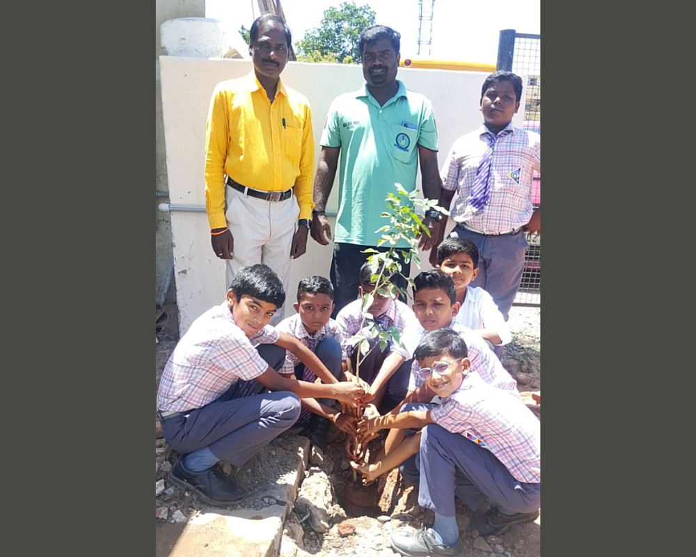 World Environment Day